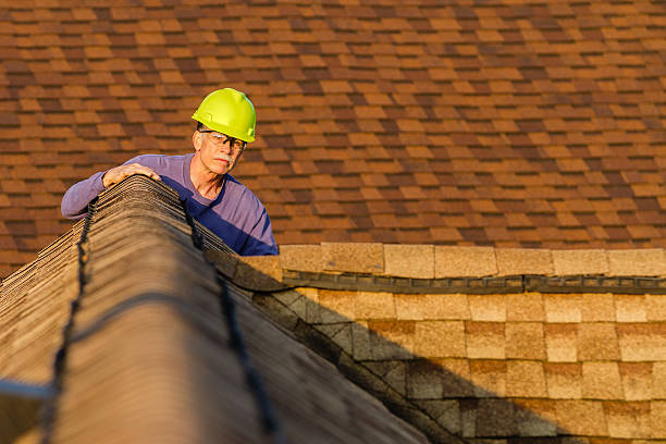Best Sealant for Roof  in Okawvle, IL
