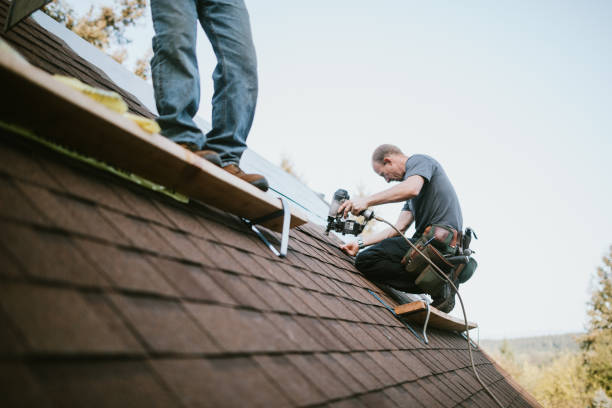 Best Best Roofing Contractors  in Okawvle, IL